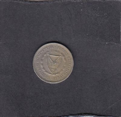 Beschrijving: 25 Mils  CEDAR PLANT